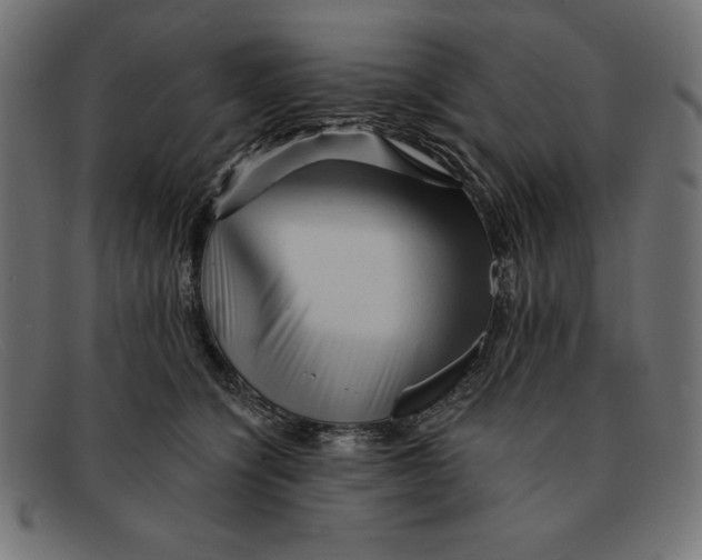 X0000092040564200710100959