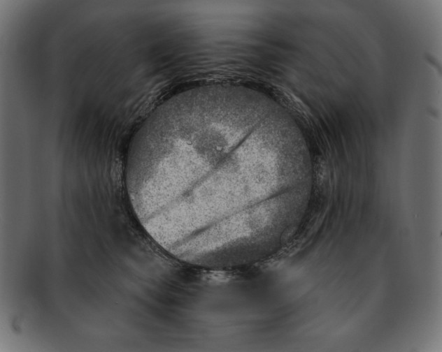 X0000092040565200710100959