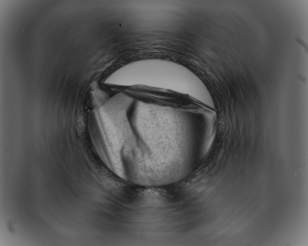 X0000092040566200710100959