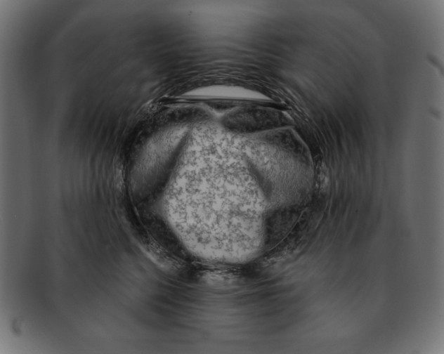 X0000092040568200710100959