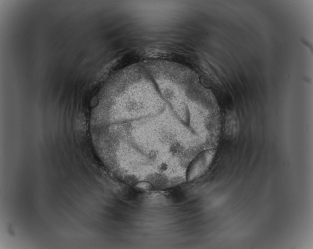 X0000092040569200710100959