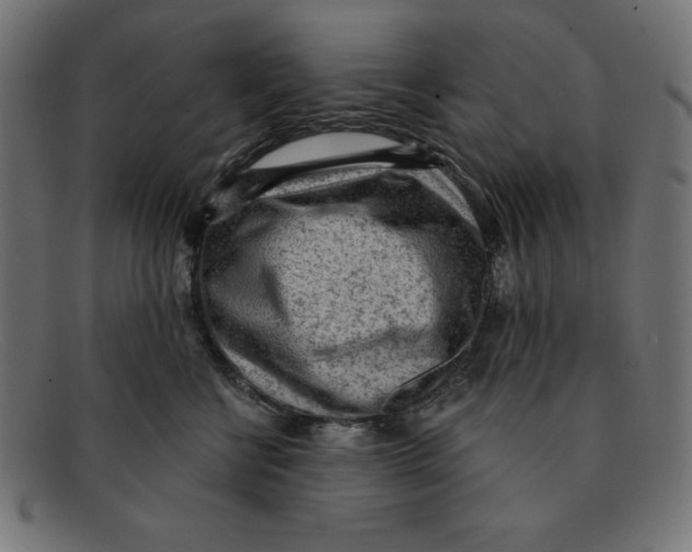 X0000092040570200710100959