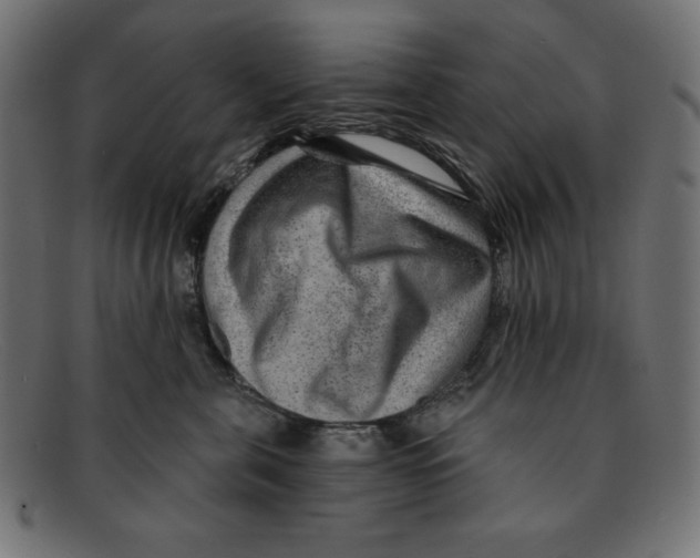 X0000092040571200710100959