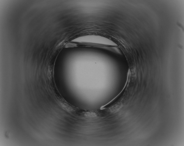 X0000092040572200710100959