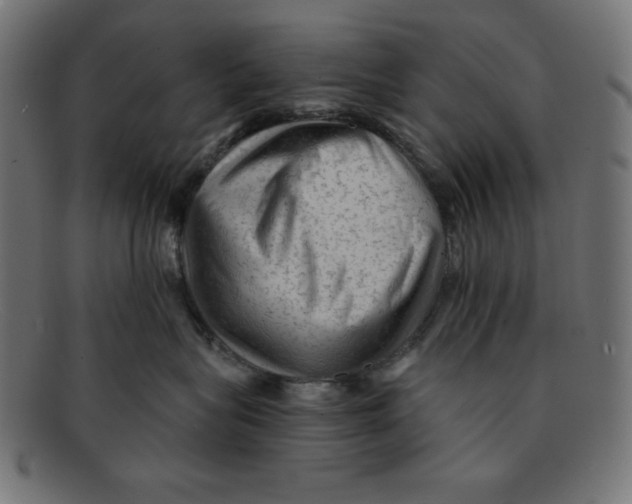 X0000092040575200710101000