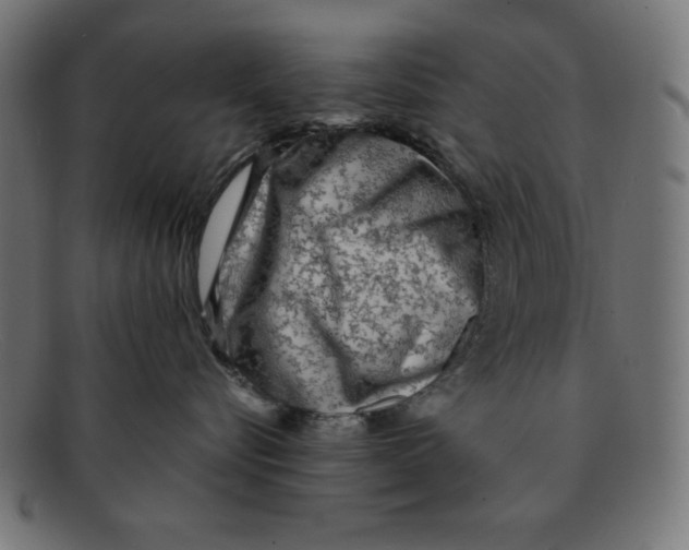 X0000092040576200710101000