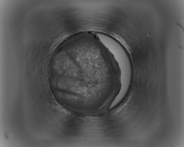 X0000092040577200710100959