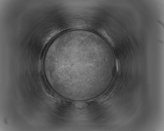 X0000092040579200710100959