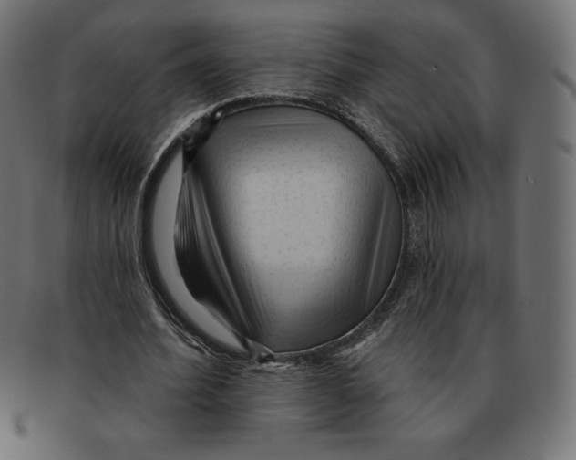 X0000092040580200710100959