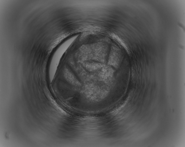 X0000092040581200710100959