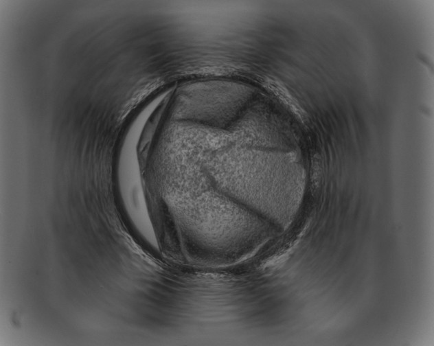 X0000092040585200710100959