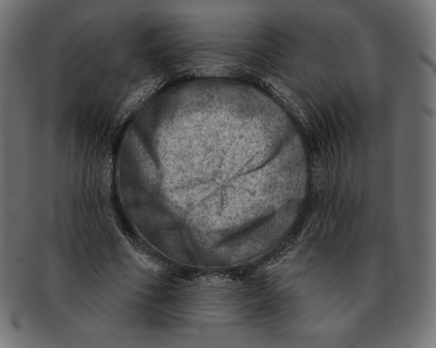 X0000092040586200710100959