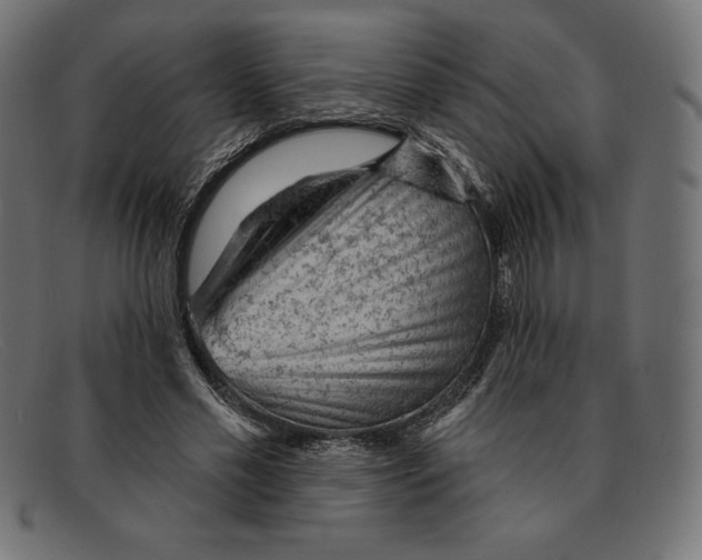 X0000092040589200710100959