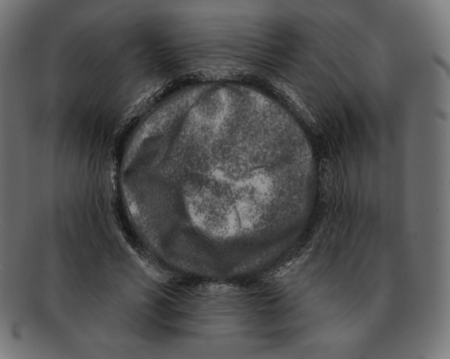 X0000092040590200710100959