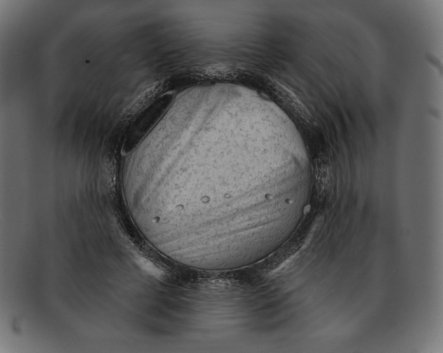 X0000092040593200710100959