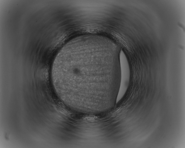 X0000092040595200710100959