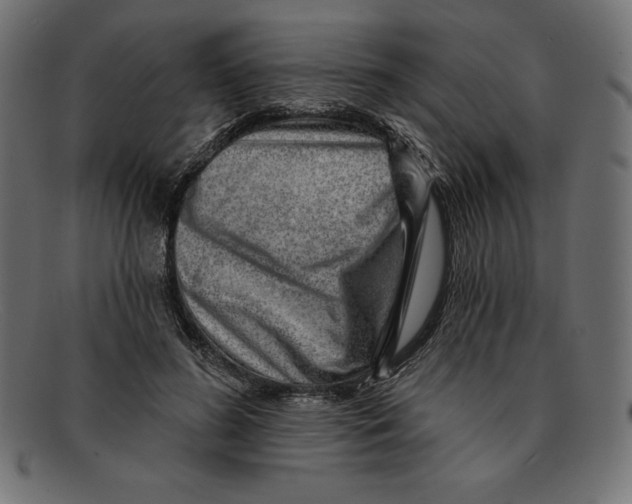 X0000092040596200710100959