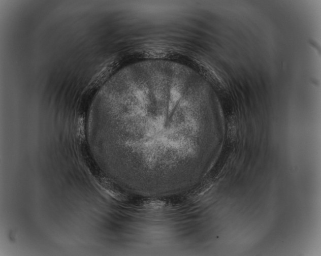 X0000092040598200710100959