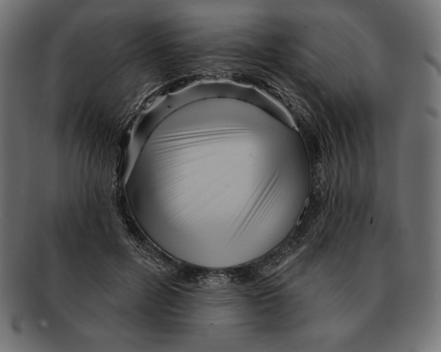 X0000092040600200710100959