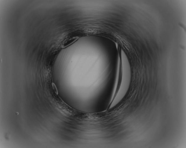 X0000092040601200710100959