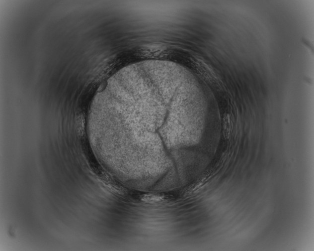 X0000092040602200710100959