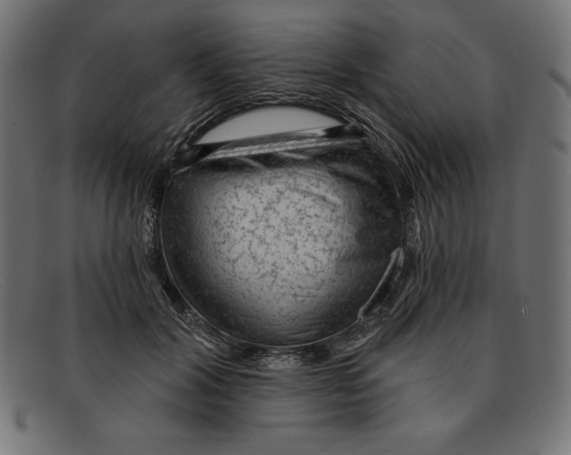 X0000092040604200710100959