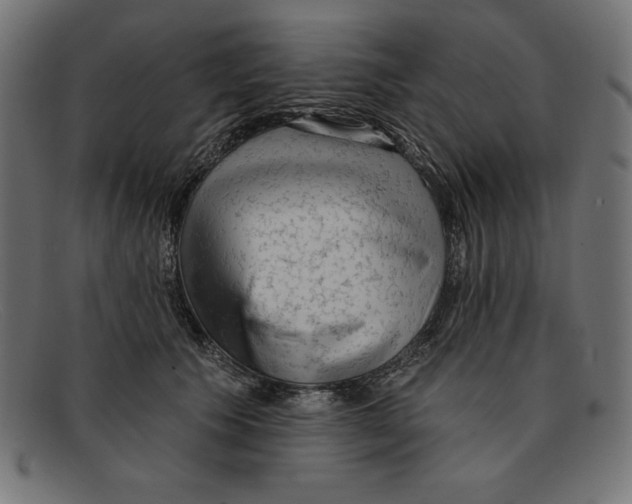 X0000092040609200710100959