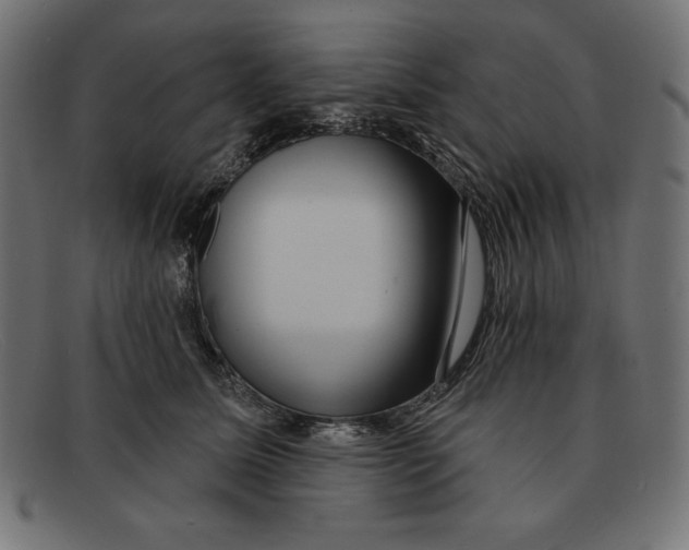 X0000092040611200710100959