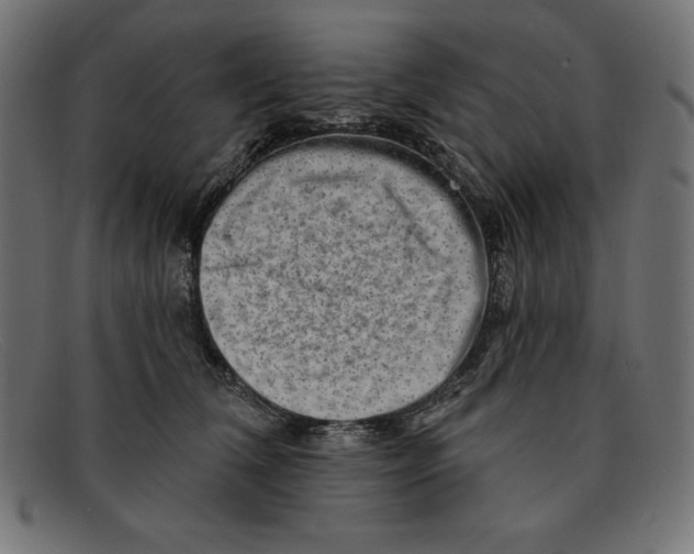 X0000092040612200710100959