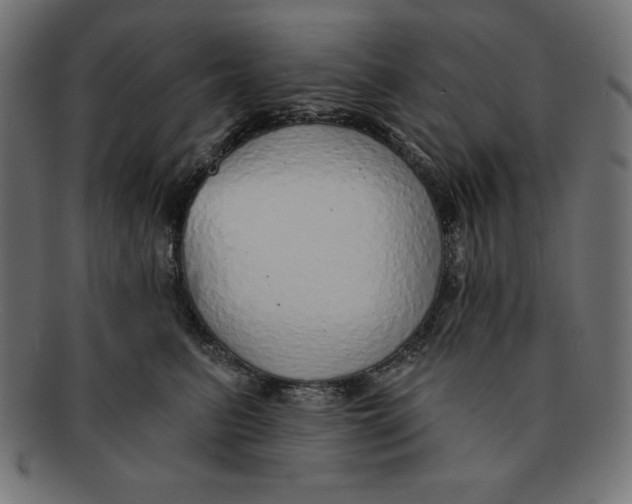 X0000092040615200710100959