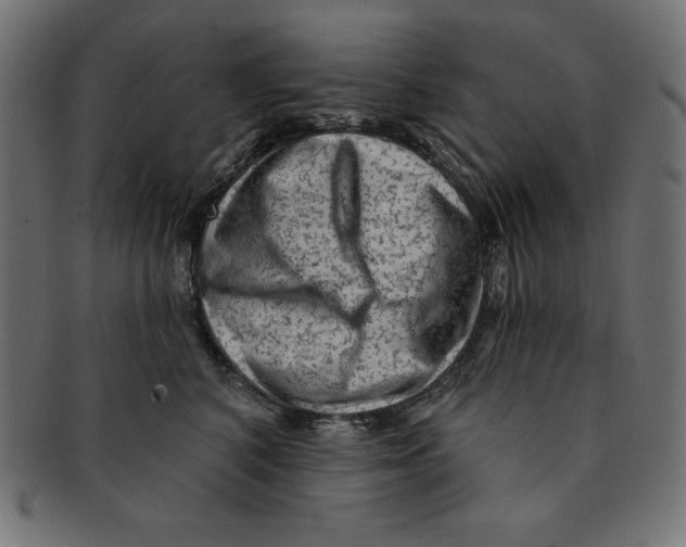 X0000092040616200710100959