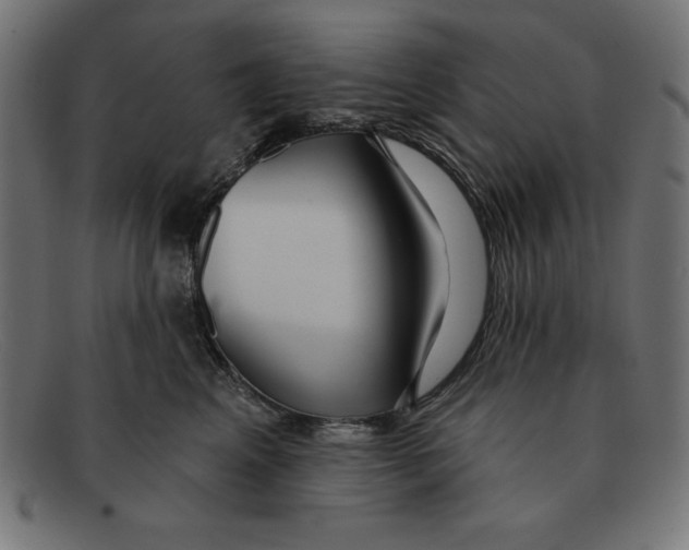 X0000092040617200710100958