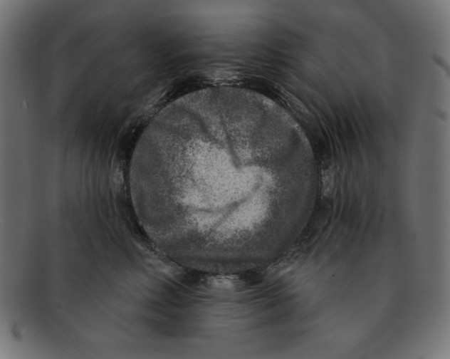 X0000092040618200710100958