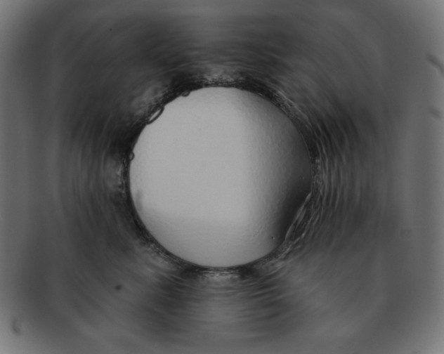 X0000092040619200710100958