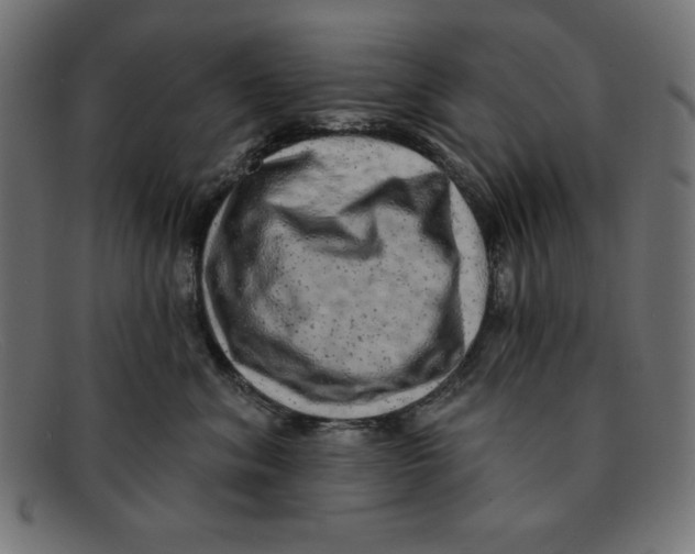 X0000092040620200710100958