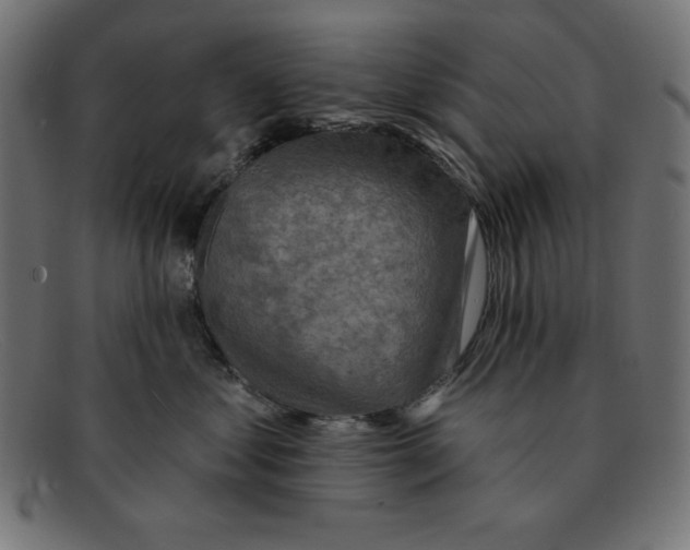 X0000092040621200710100958