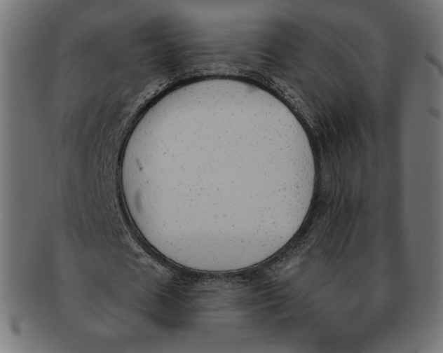 X0000092040625200710100958