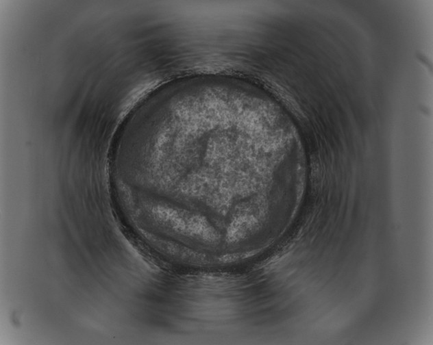 X0000092040626200710100958