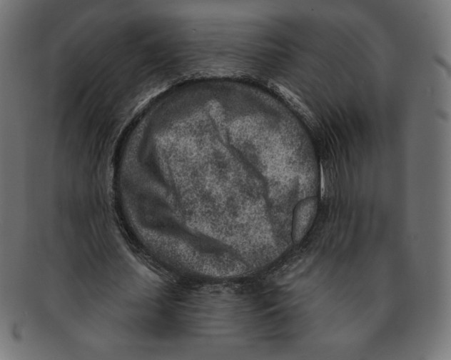 X0000092040627200710100958