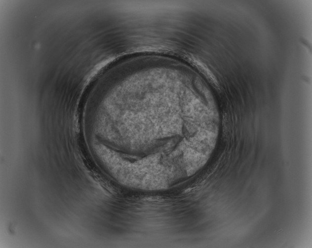 X0000092040628200710100958