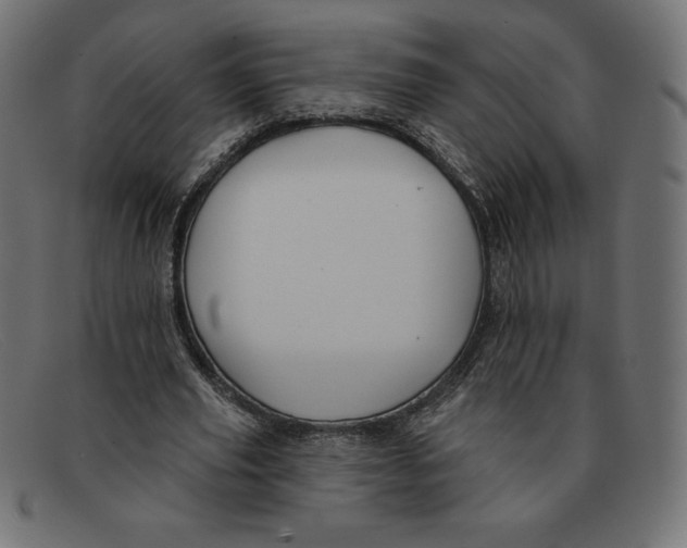 X0000092040629200710100958