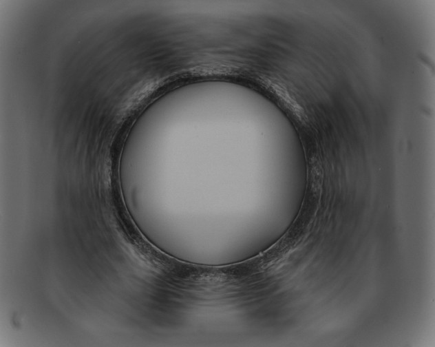 X0000092040631200710100958