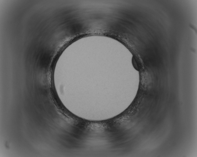 X0000092040632200710100958