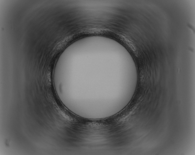 X0000092040633200710100958