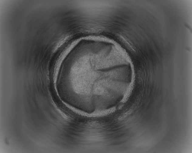 X0000092040634200710100958