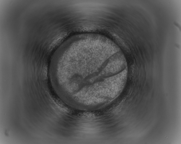 X0000092040640200710100958