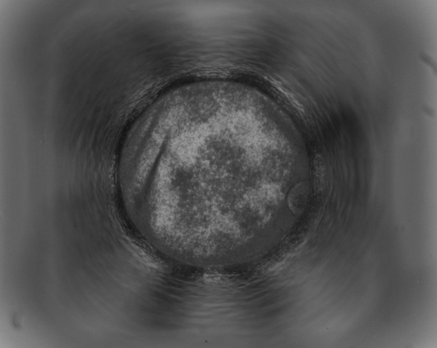 X0000092040641200710100958