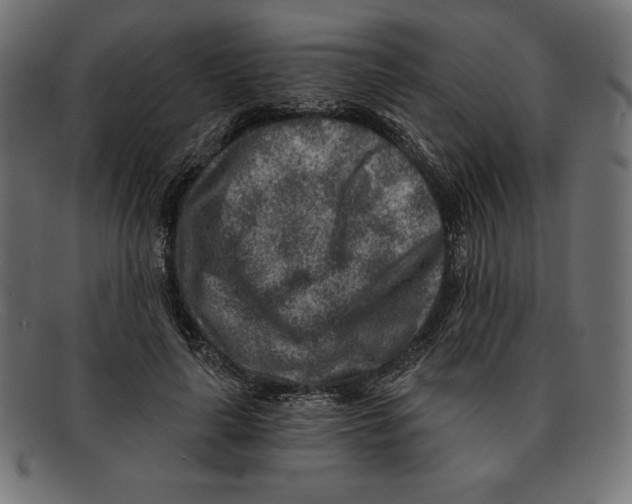 X0000092040643200710100958