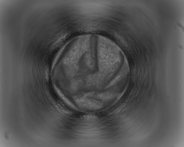 X0000092040644200710100958