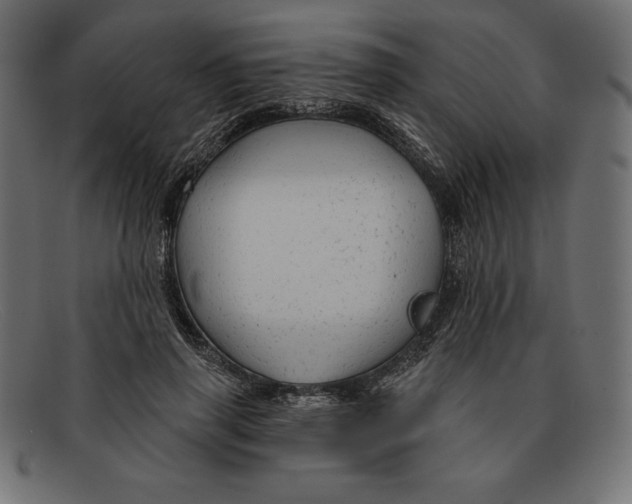 X0000092040645200710100958